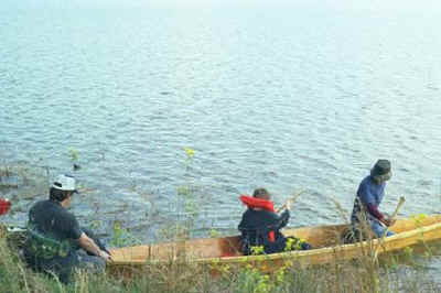 Cajun Pirogue wooden boat kit 